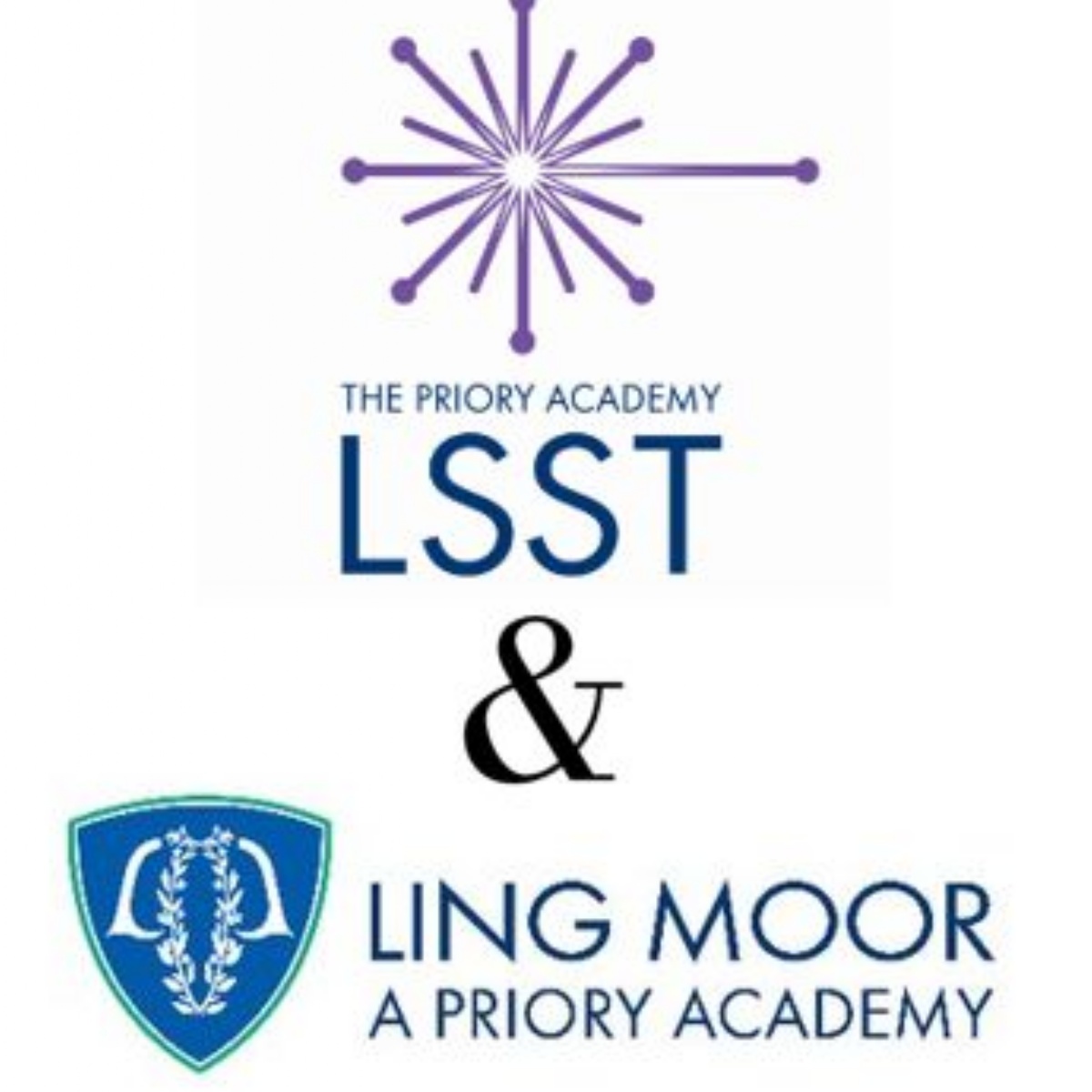 the-priory-academy-lsst-primary-science-day